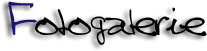wp9f9537cc.png